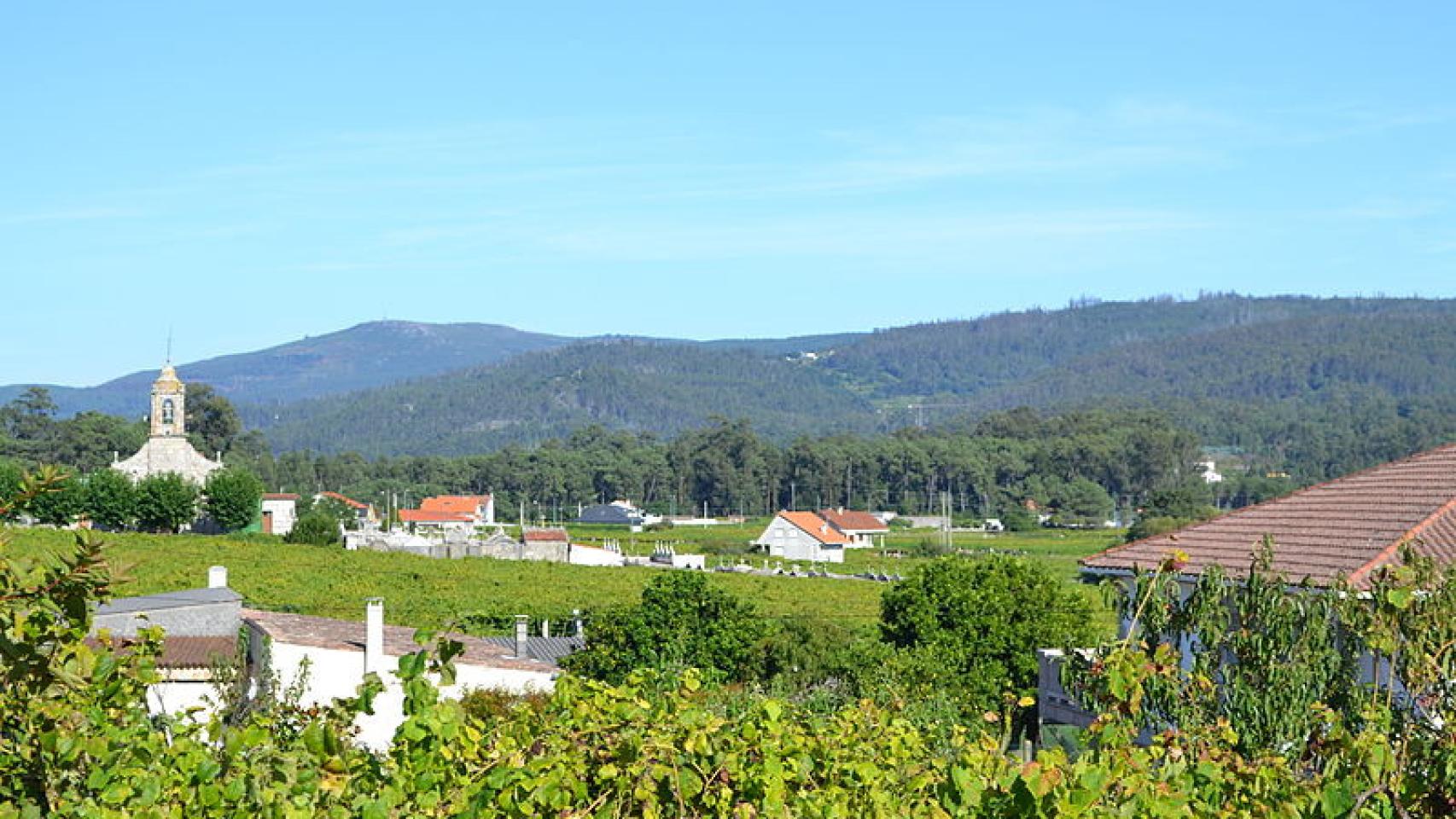 Los tres mejores albariños jóvenes de la denominación de origen Rías Baixas