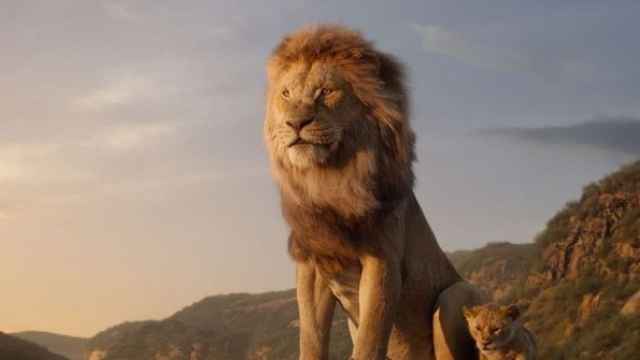 Imagen de un león en la naturaleza.