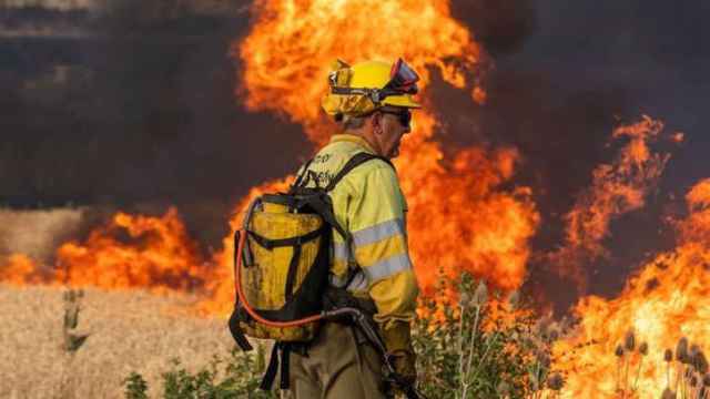 Un bombero forestal trabaja en un incendio.