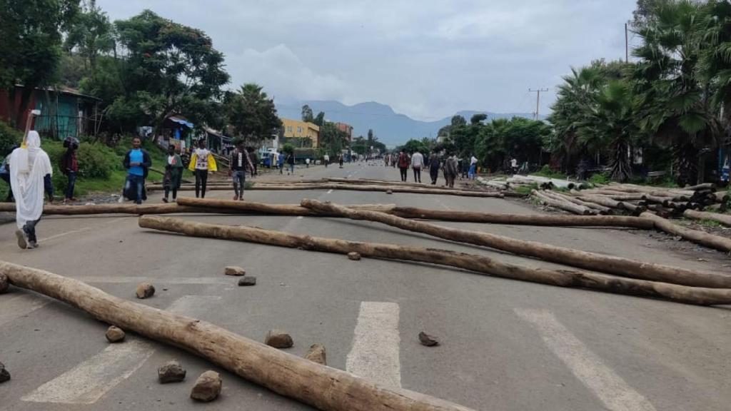 Vista de las carreteras obstaculizadas con troncos de árboles por las milicias rebeldes