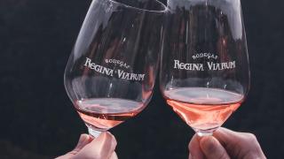 Regina Viarum Rosae, el rosado heroico que desafía al vértigo