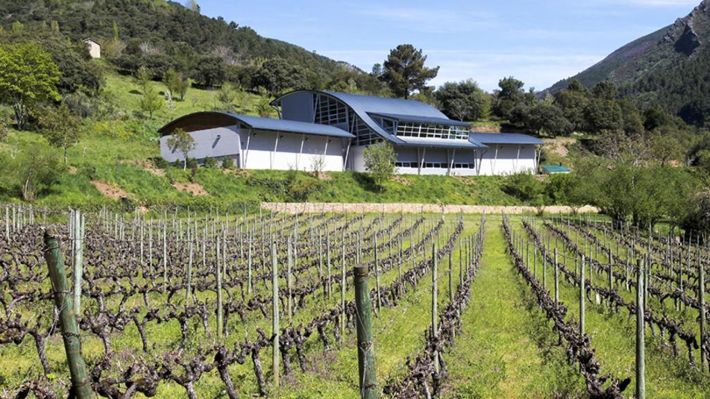 Bodegas Godeval, la joya de Valdeorras