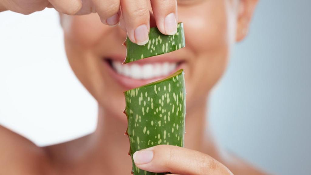 Imagen de archivo de aloe vera natural. Foto: iStock.