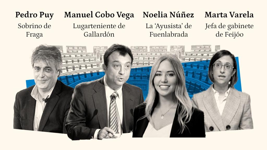 Pedro Puy Fraga, Manuel Cobo, Noelia Núñez y Marta Varela, nuevos diputados del PP