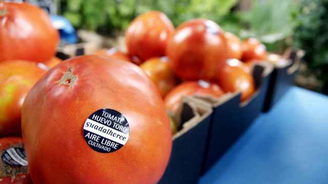 El tomate que vale 1.900 euros: es Huevo de Toro y se vende en Málaga.