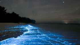 Imagen de una playa bioluminiscente.
