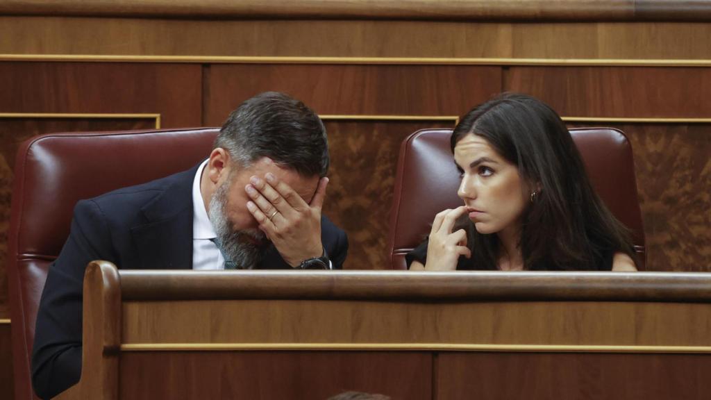 El líder de Vox, Santiago Abascal y la portavoz de la formación, Pepa Millán, durante la sesión constitutiva de las Cortes Generales de la XV Legislatura celebrada este jueves.