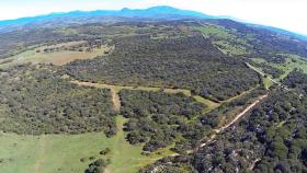 Vistas de la finca Valderrama II, donde se proyecta el campo de golf.