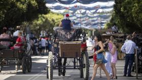 La Feria de Málaga, desde el Real