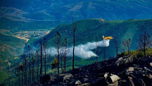 Incendio forestal de Rubiá (Ourense), a 18 de agosto de 2023.