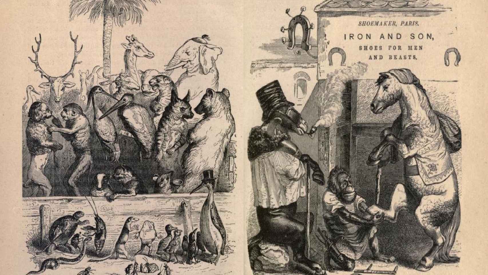 Vida privada y pública de los animales de Grandvile (1840 y 1842), que aparecen en el libro 'Por qué miramos a los animales'.