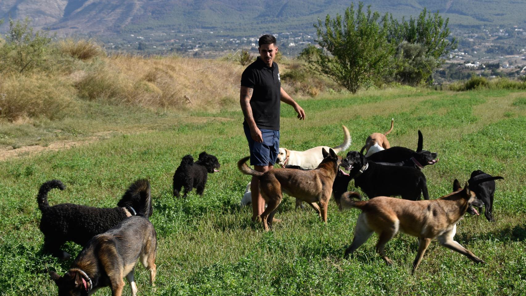 Varios perros junto a Lulú, de color clarito.
