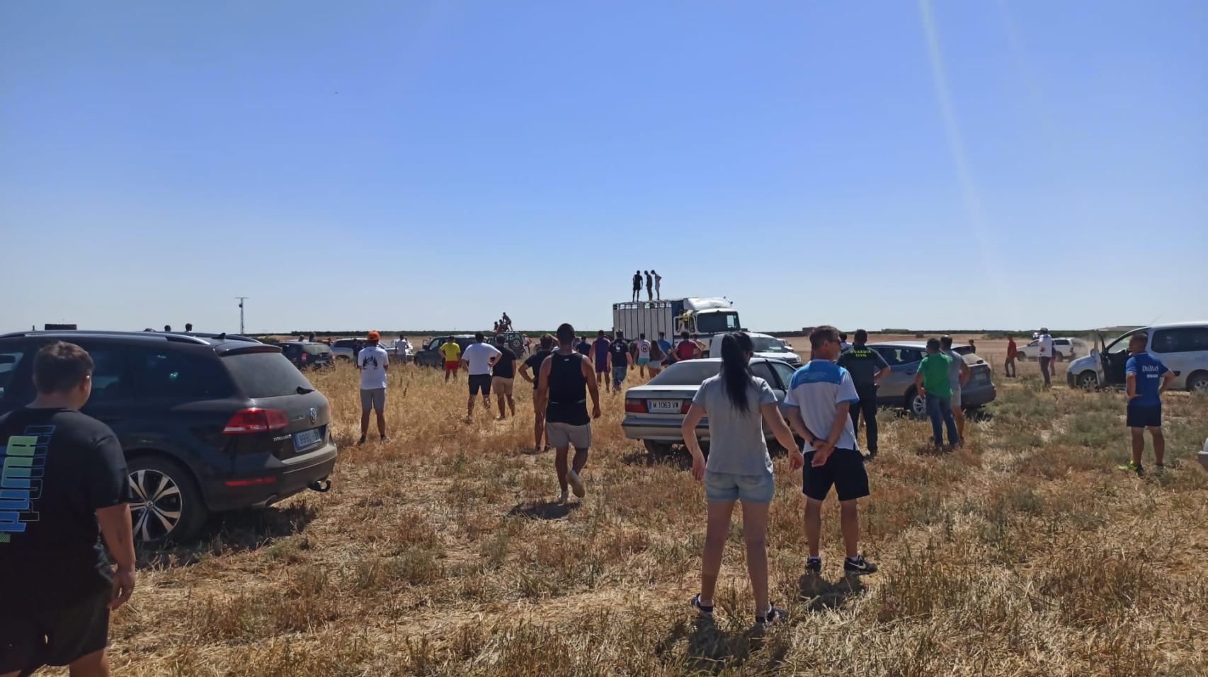 Un toro en una zona de campo tras escaparse de un encierro en Serrada