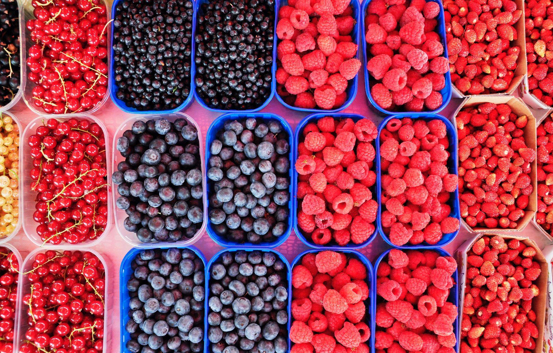 Los frutos del bosque tienen un aspecto perfectamente reconocible. Fuente: Unsplash