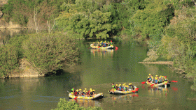 Uno de los mejores arroces de España que no sólo se come: un rafting entre los arrozales de Calasparra.