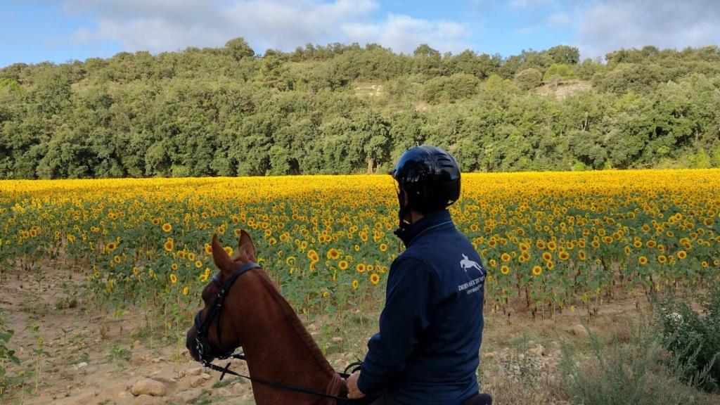 Uno de los jinetes durante el camino por CyL