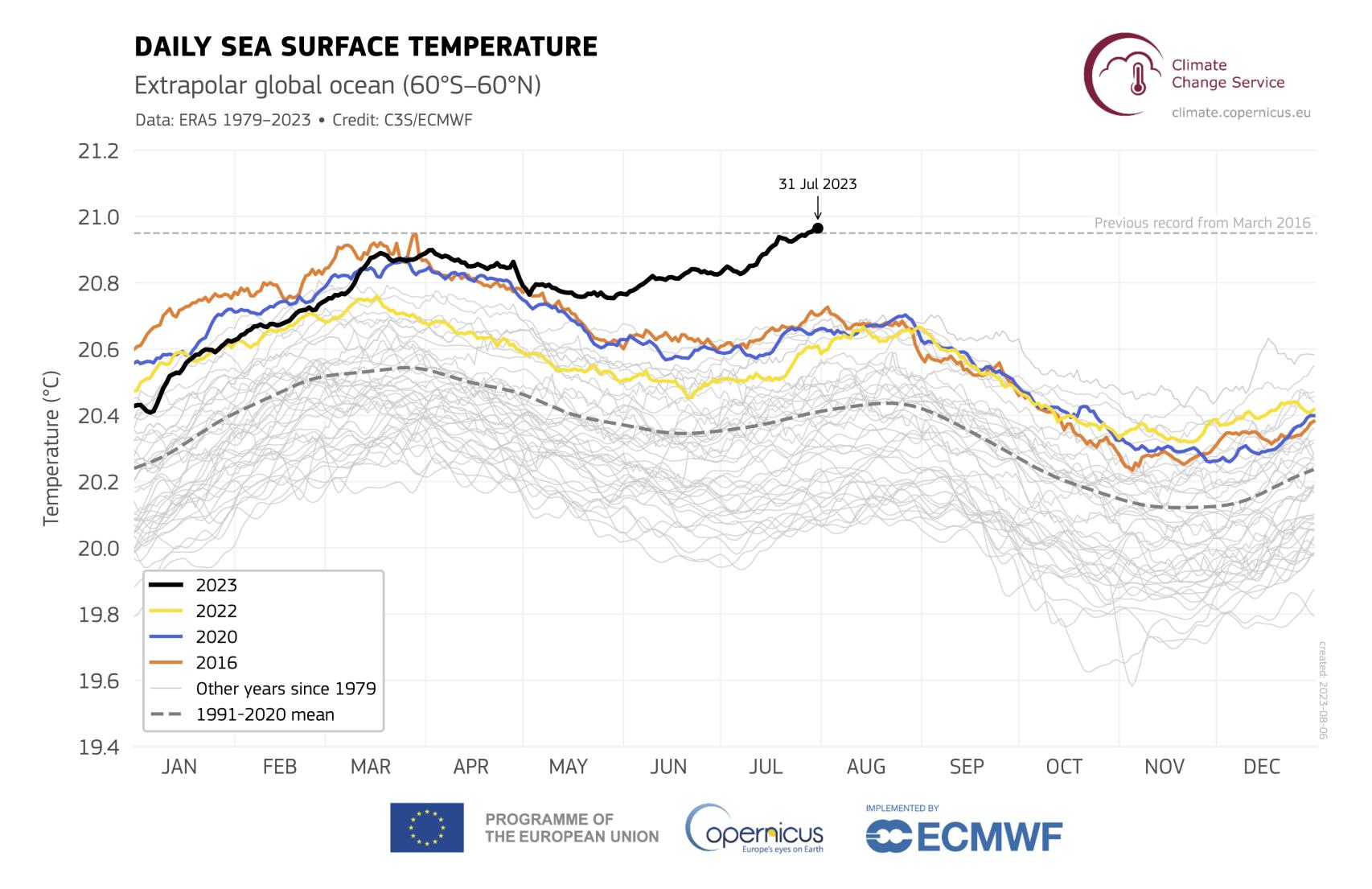 Evolución de la temperatura diaria de la superficie del mar.