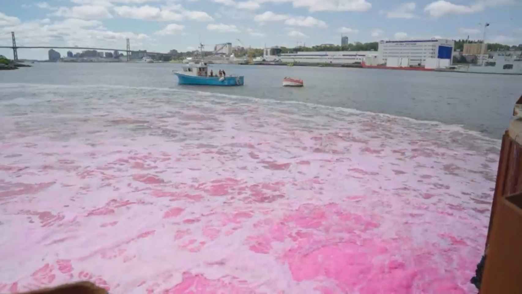 Los investigadores liberaron un tinte rosa para ver cómo se desplazaba la sustancia por la marea.