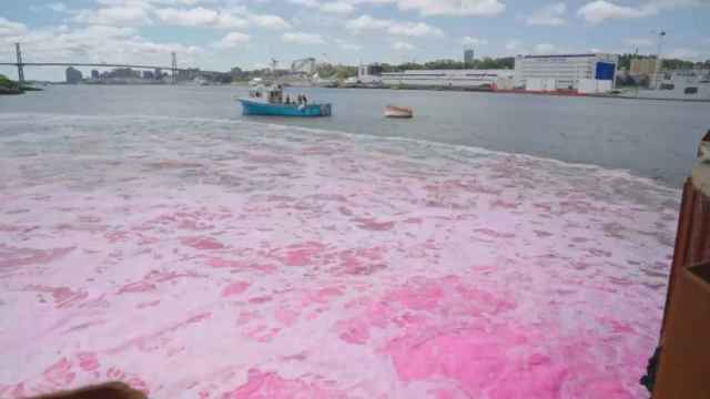 Los investigadores liberaron un tinte rosa para ver cómo se desplazaba la sustancia por la marea.