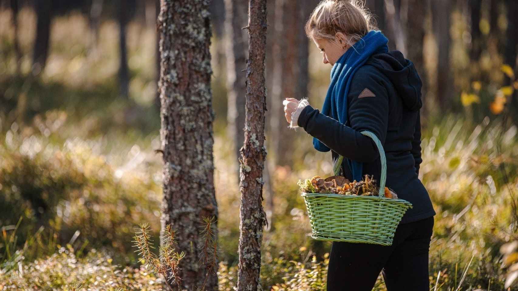 Mujer recogiendo setas en el bosque