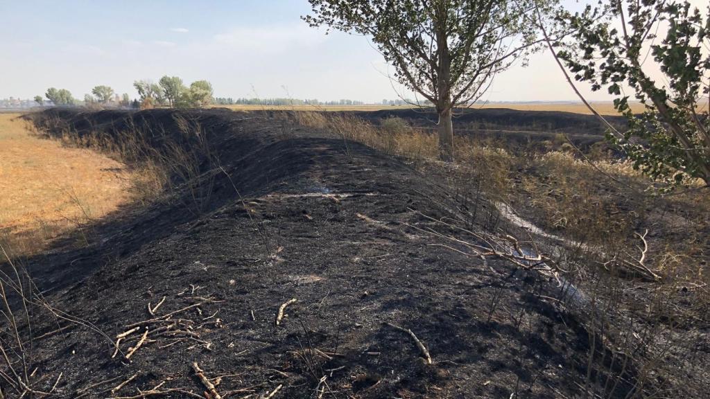 Incendio entre Villalpando y Villamayor de Campos