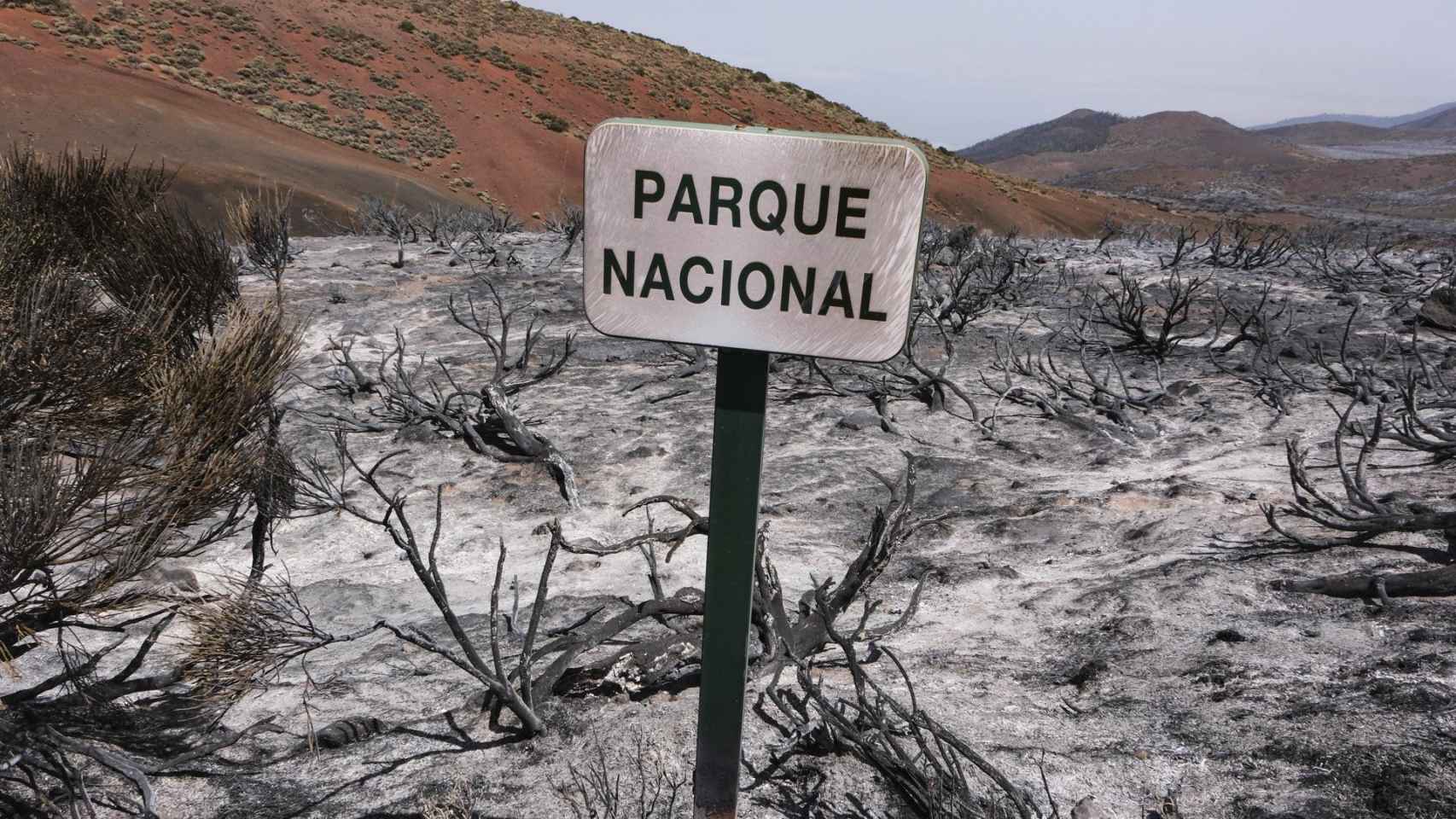 El Parque Nacional del Teide tras el incendio forestal de Tenerife.