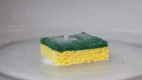 Imagen de archivo de una esponja amarilla y verde en el plato de un microondas.