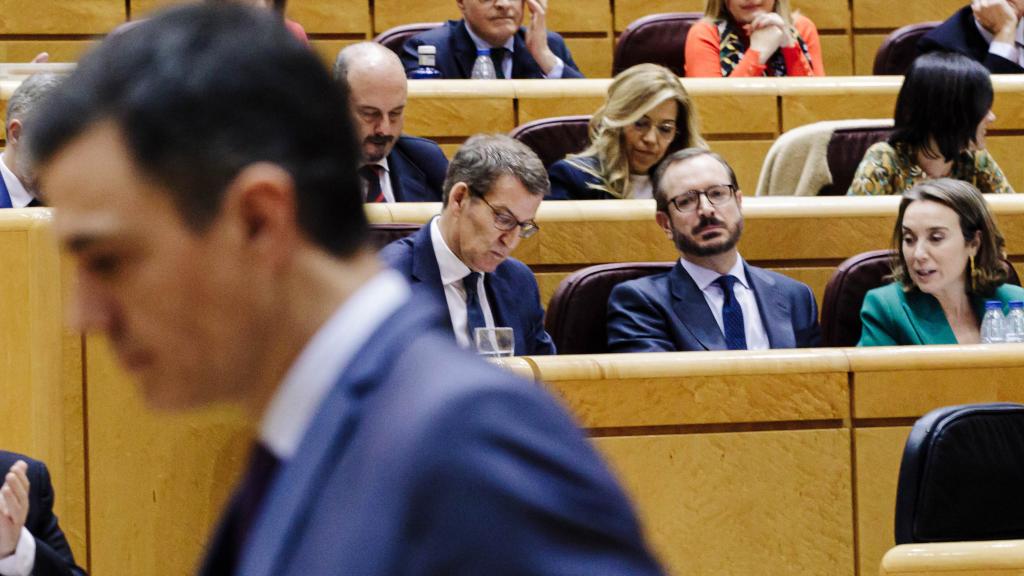 Sánchez, en el Senado, frente a la bancada del PP, en una imagen de archivo.