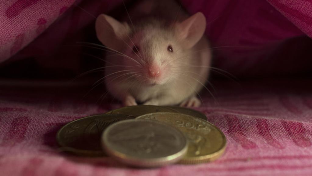 Imagen del Ratoncito Pérez llevando monedas de oro a las almohadas de los niños.