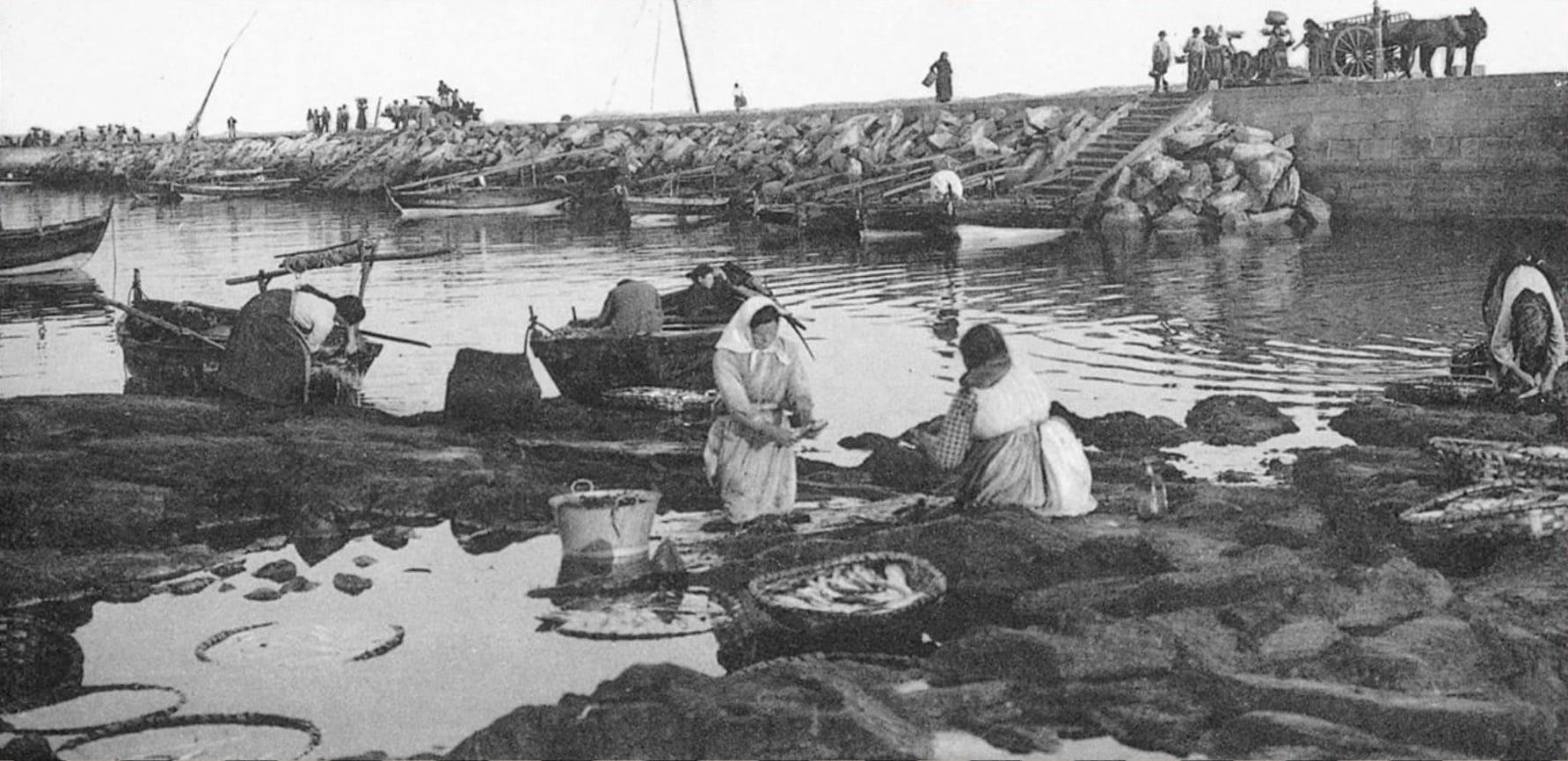 Imagen histórica de las costas gallegas, donde se puede observar a muchas mujeres trabajando de mariscadoras. Fuente: realconservera.com