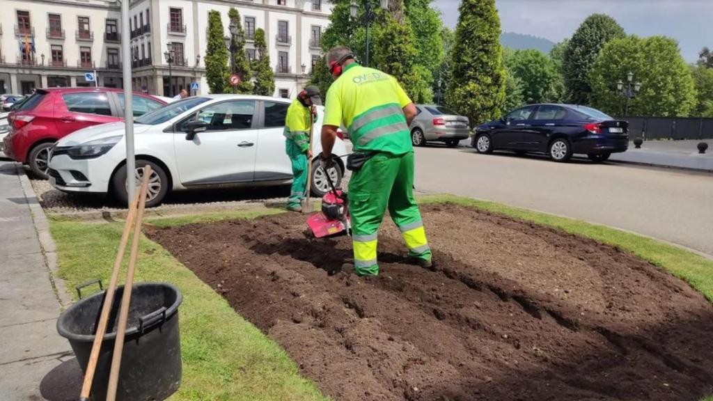 Imagen de archivo de dos jardineros durante su jornada laboral.