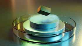 Roca flotante artificial sobre una pila de disco metálico e imán que a su vez en una placa de Petri. Ilustración del concepto de superconductores potenciales a temperatura ambiente.