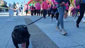 Imagen de la anterior edición de la Marcha contra el Cáncer en Pontevedra.