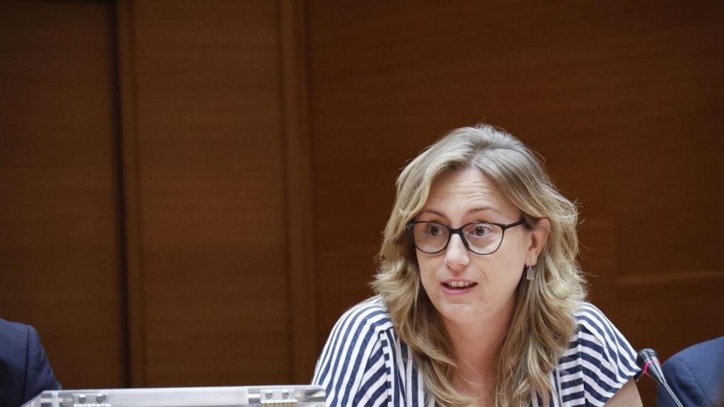 La portavoz adjunta del GPP en Les Corts, Laura Chuliá.