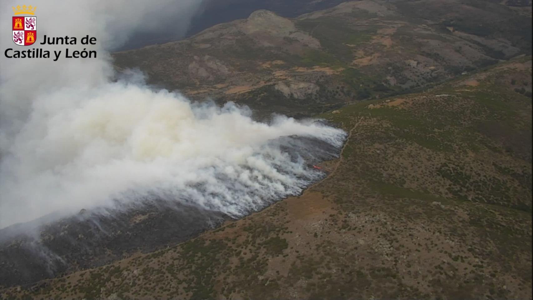 Imagen del incendio en La Aliseda de Tormes