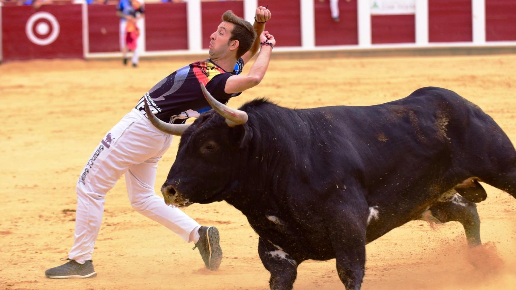 Concurso de Cortes en las Ferias y Fiestas de la Virgen de San Lorenzo de Valladolid