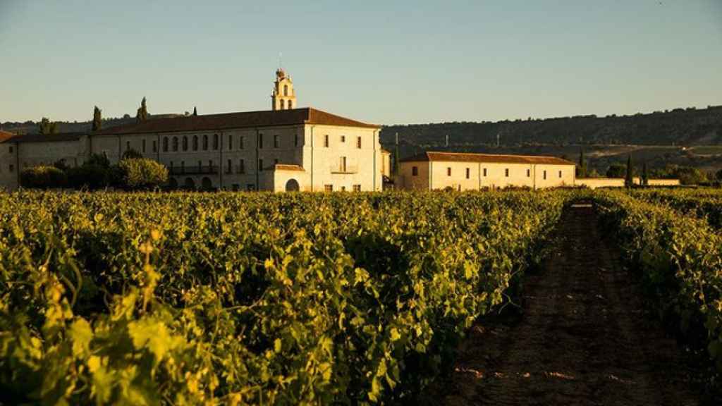 Viñedos de las bodegas Abadía Retuerta