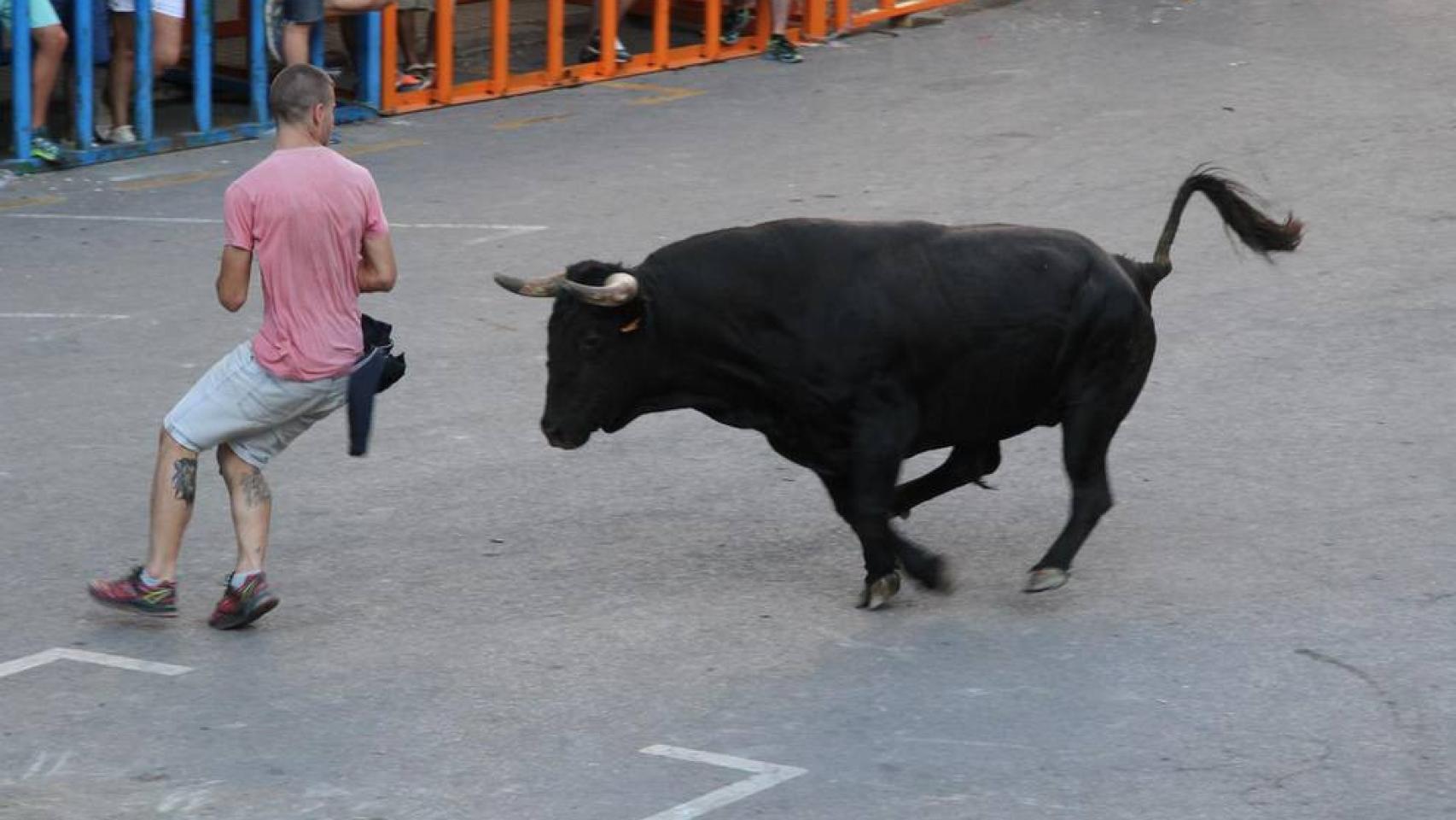 Imagen de bous al carrer. Efe