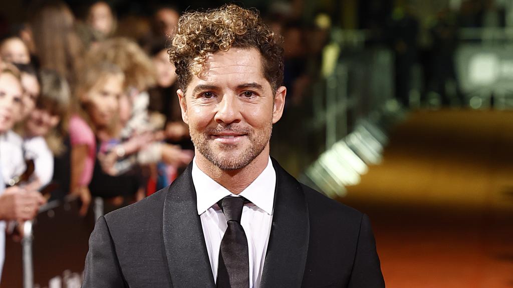 David Bisbal en el photocall de la premiere de 'Bisbal'.