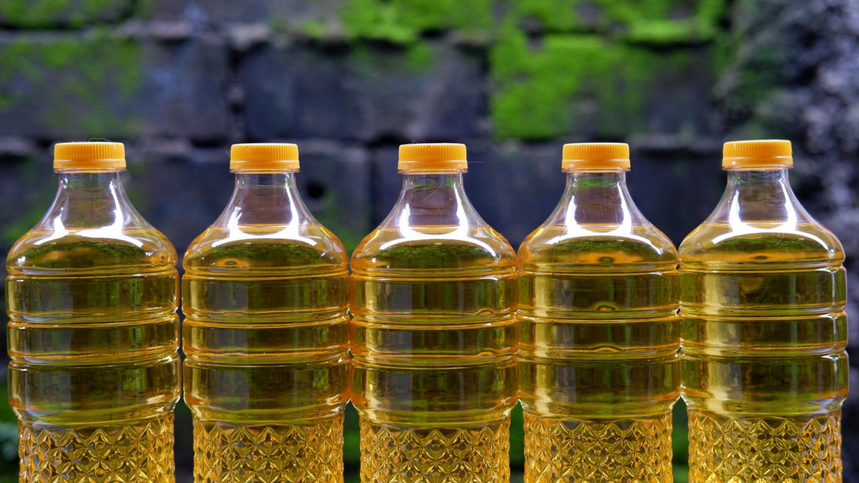 Botellas de aceite de oliva en un establecimiento.