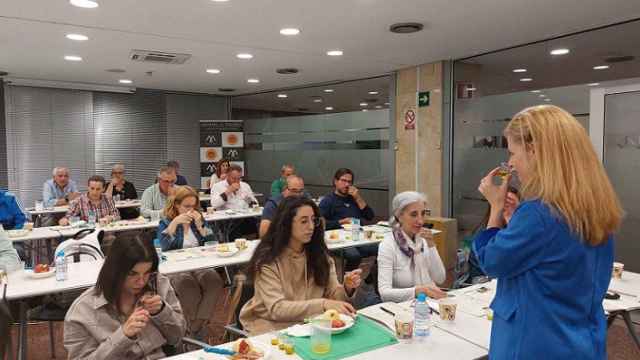 Eurocaja Rural y DOP Montes de Toledo reeditan curso sobre análisis del aceite de oliva