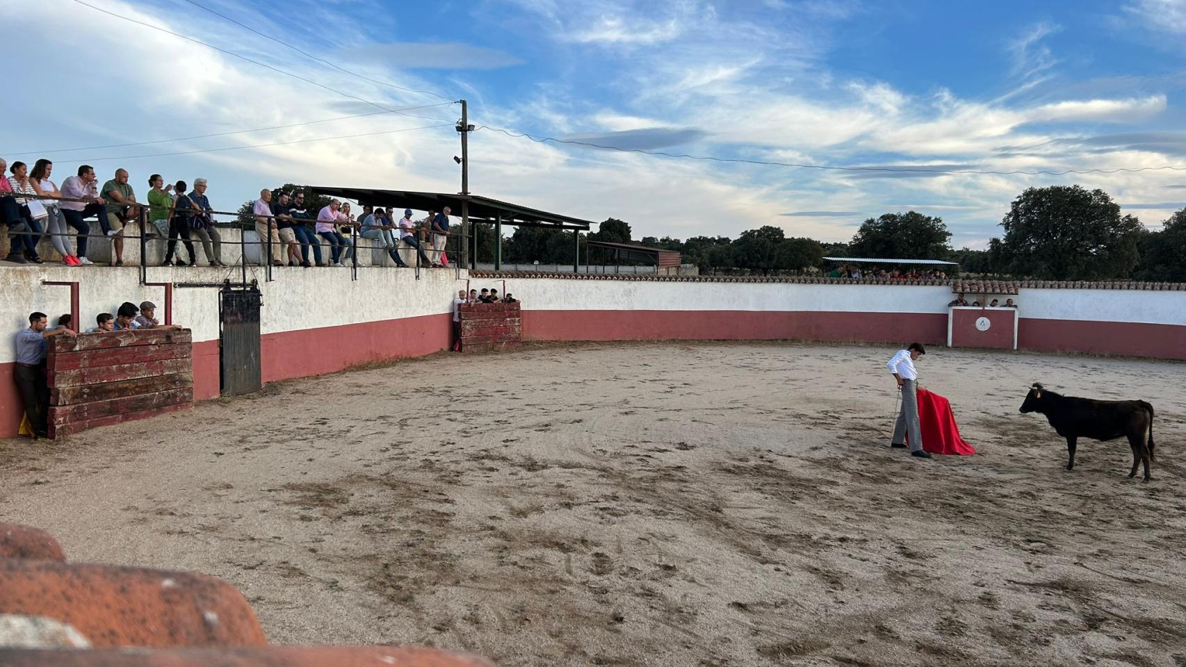 Manuel Diosleguarde torea una vaca en El Vellosino