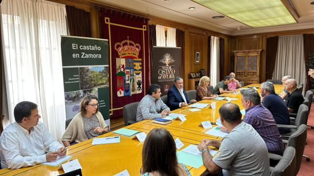 Reunión de la Mesa del Castaño en la Diputación de Zamora
