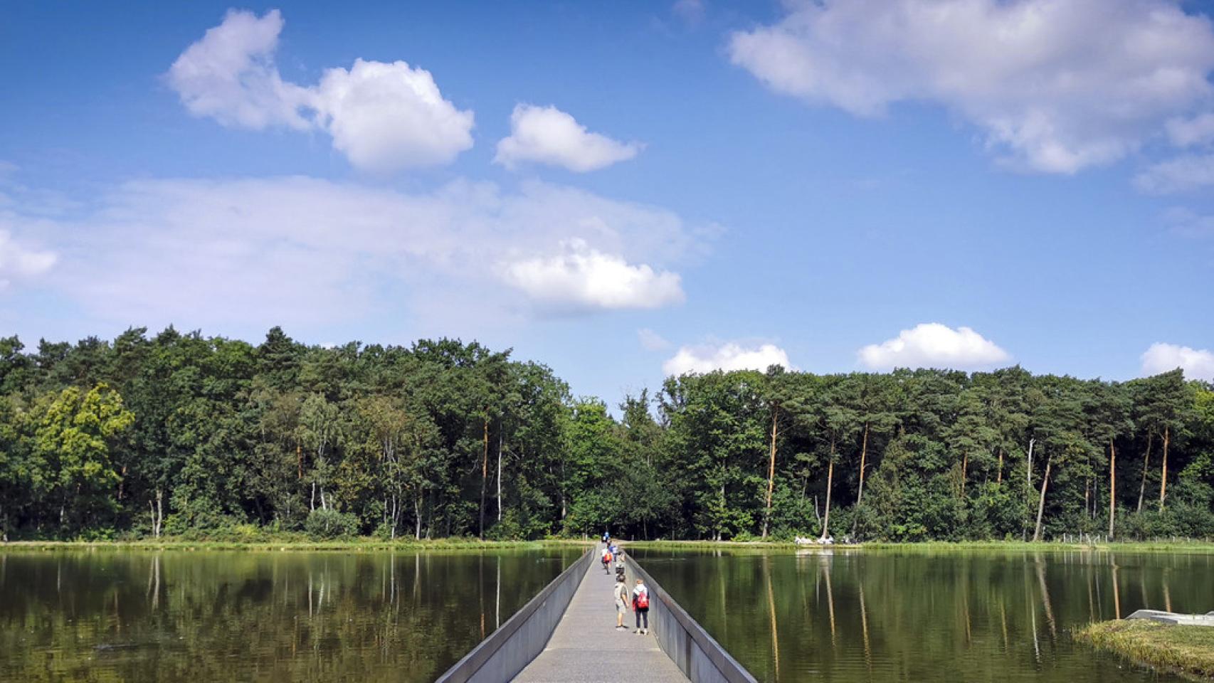 Este carril bici es el más bonito del mundo y se sumerge dentro de un lago