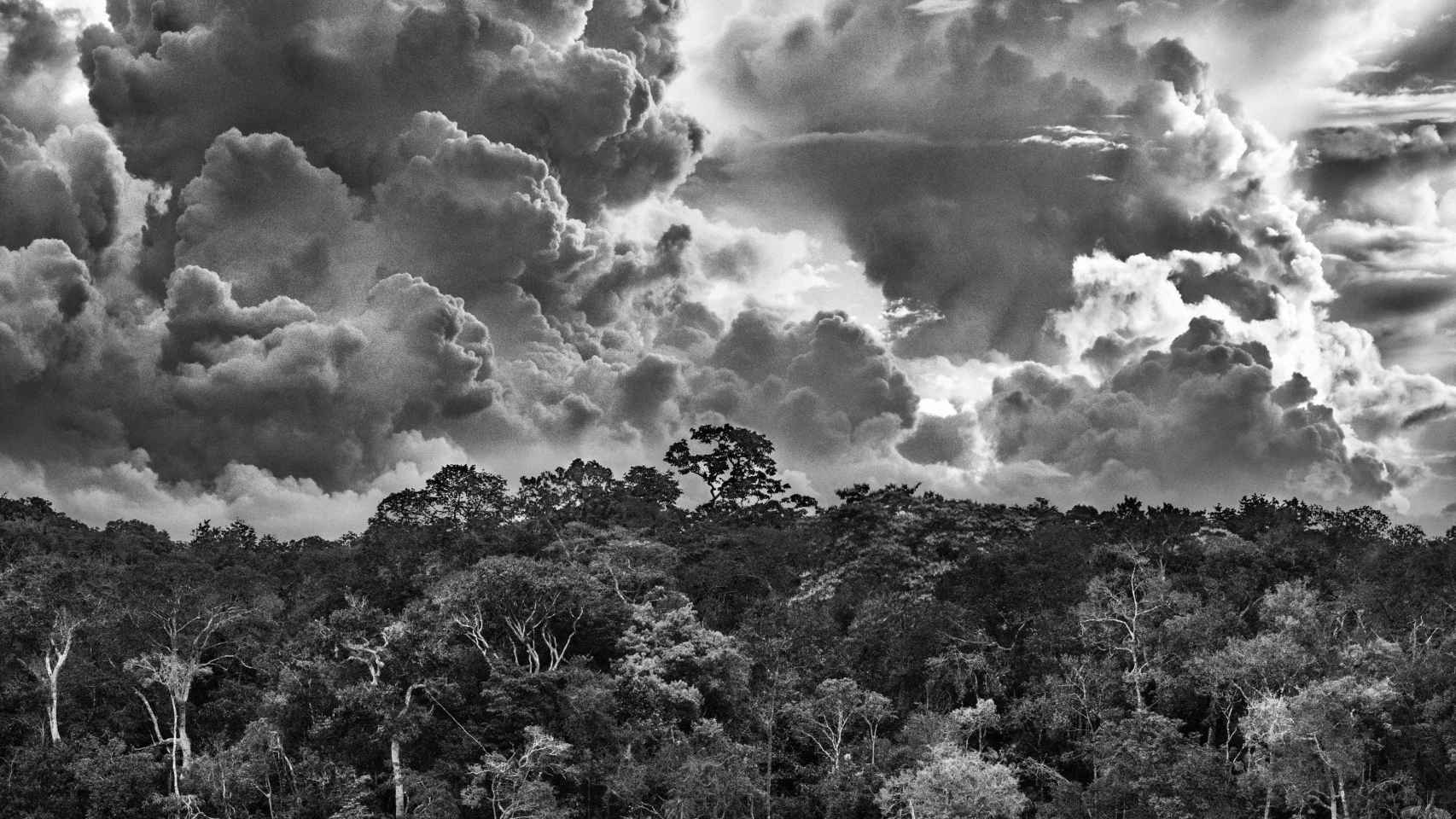 Una de las imágenes de la serie 'Amazonias'