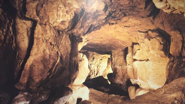 Cuevas de Altamira: todo lo que necesitas saber para poder visitarla