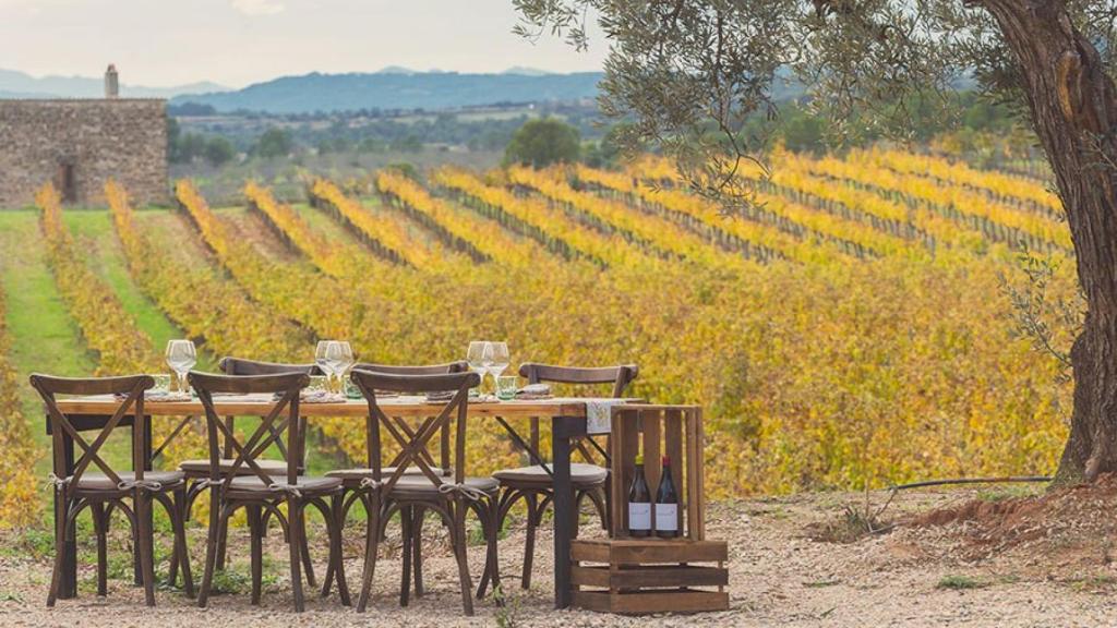 Bodega Edetària