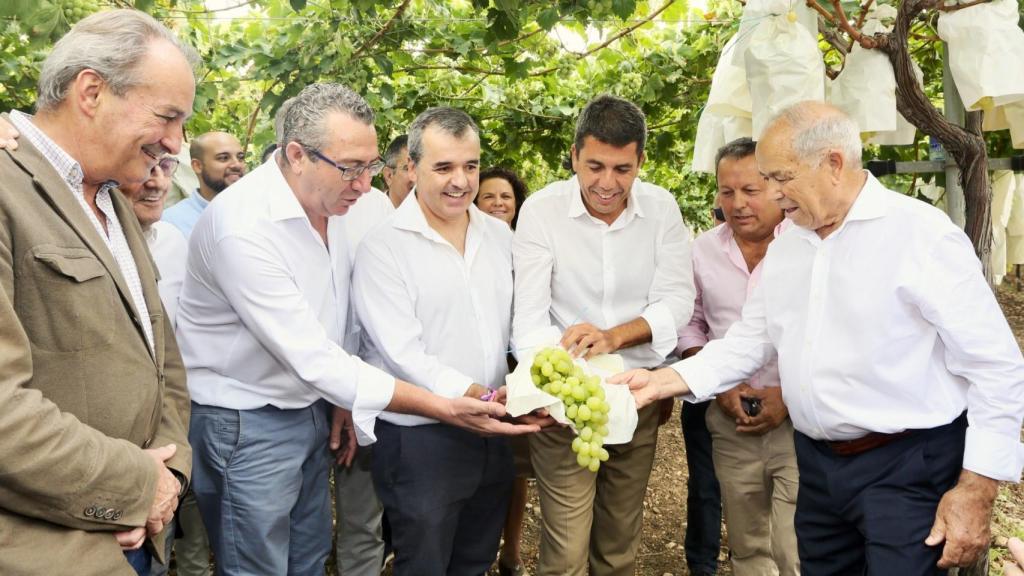 La presentación de la campaña de corte de la Uva Empolsada del Vinalopó, la pasada semana.