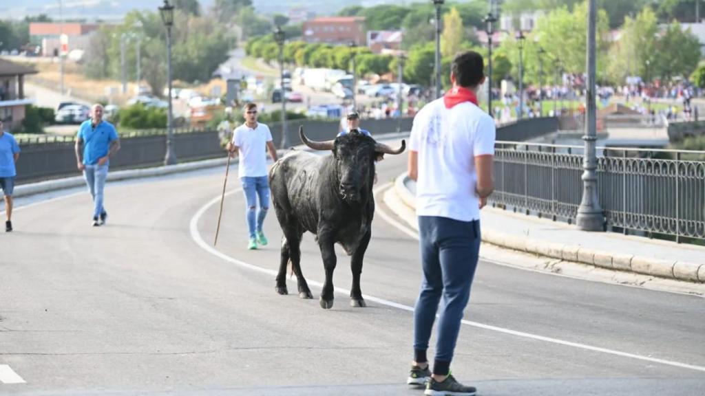 Imagen del encierro de esta mañana en Tordesillas