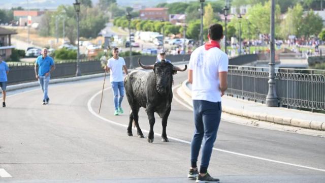 Imagen del encierro de esta mañana en Tordesillas